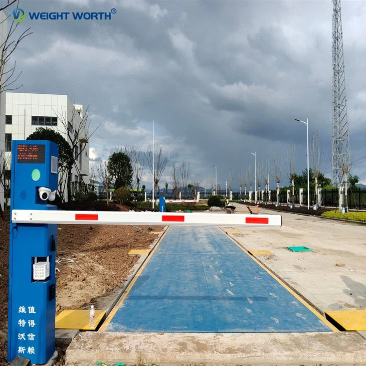 Hệ thống cân cân